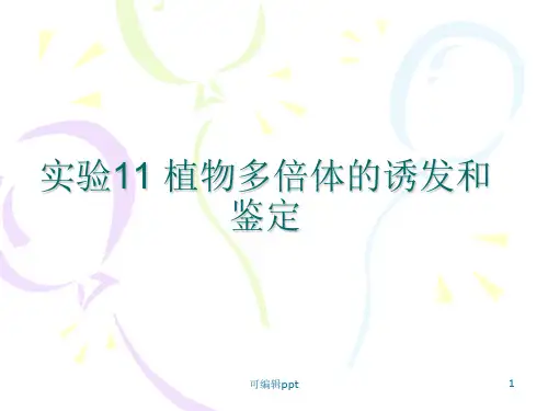 植物多倍体的诱发和鉴定