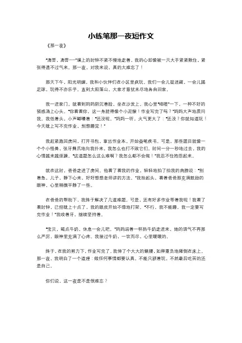 小练笔那一夜短作文