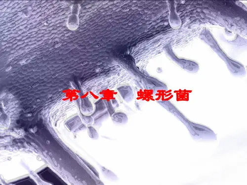07.螺形菌