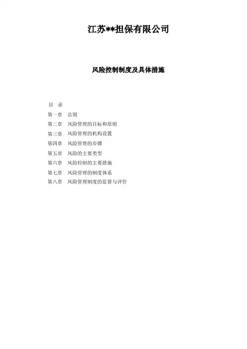 担保公司风险控制制度