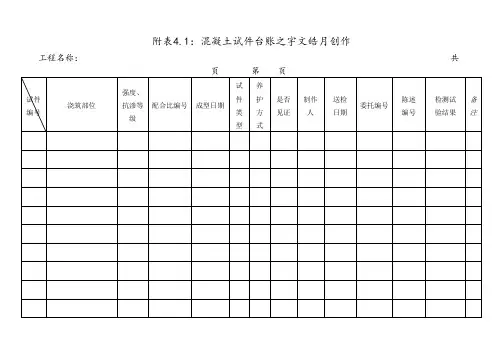 试验台账模板