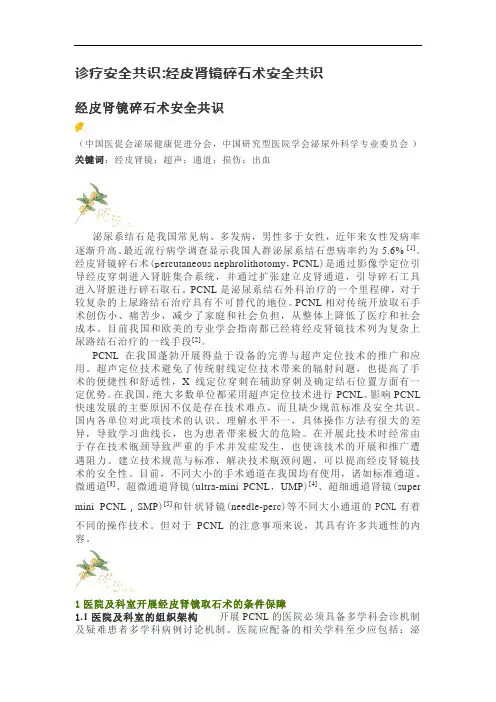经皮肾镜碎石术安全共识