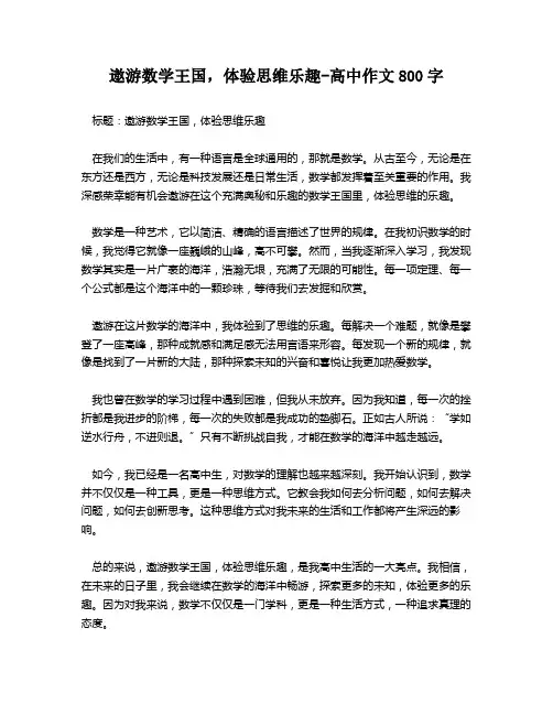 遨游数学王国,体验思维乐趣-高中作文800字