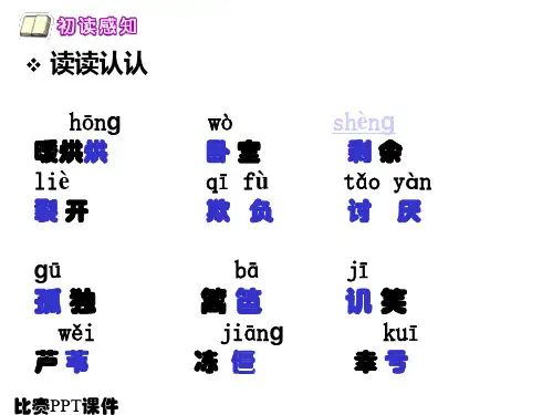 二年级语文下《丑小鸭》541PPT课件 一等奖名师公开课比赛优质课评比试讲
