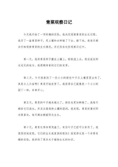 青菜观察日记