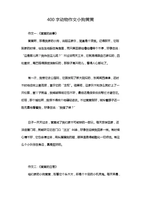 400字动物作文小狗黄黄