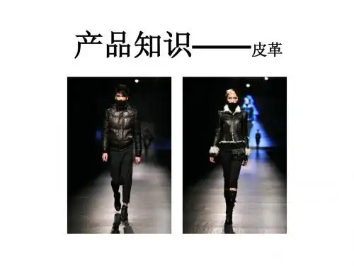 产品知识——皮革