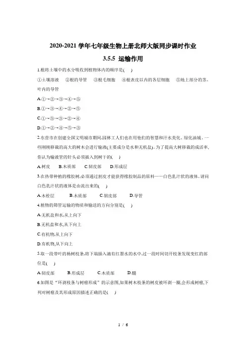 2020-2021学年七年级生物上册北师大版同步课时作业 3.5.5 运输作用