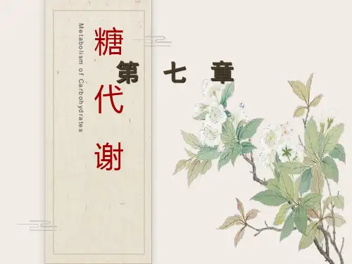 生物化学第五章糖代谢