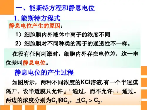 生物膜电位ppt课件