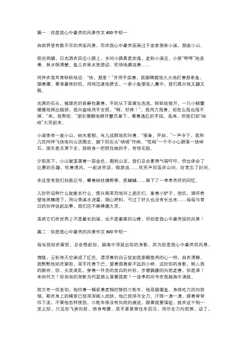 你是我心中最美的风景600字作文初一
