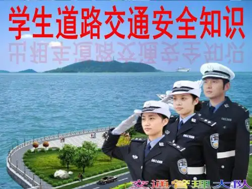 小学生道路交通安全知识讲座 ppt课件