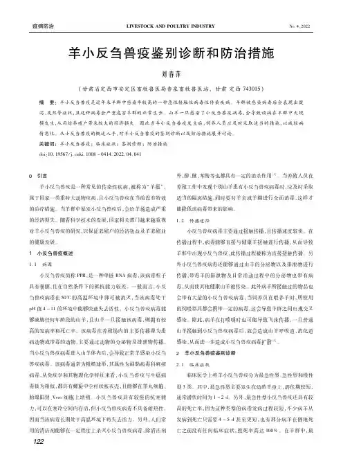 羊小反刍兽疫鉴别诊断和防治措施