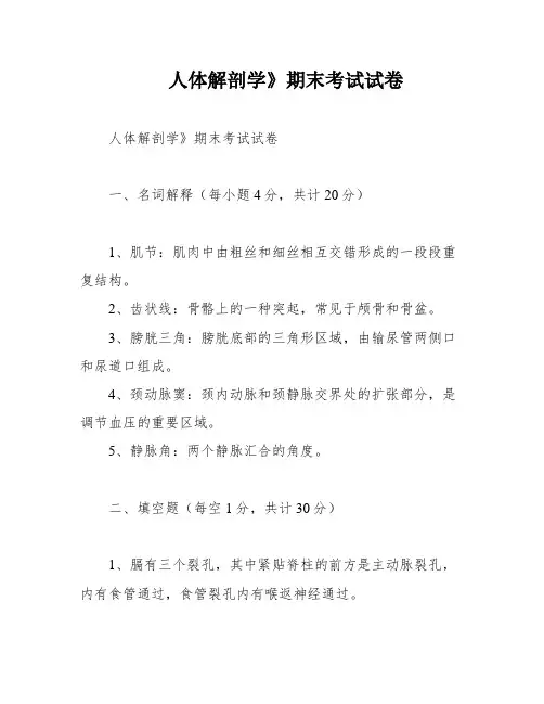 人体解剖学》期末考试试卷