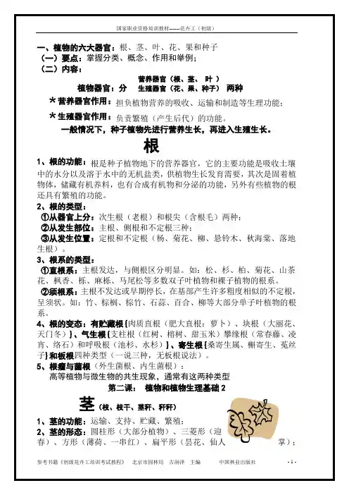 植物的六大器官