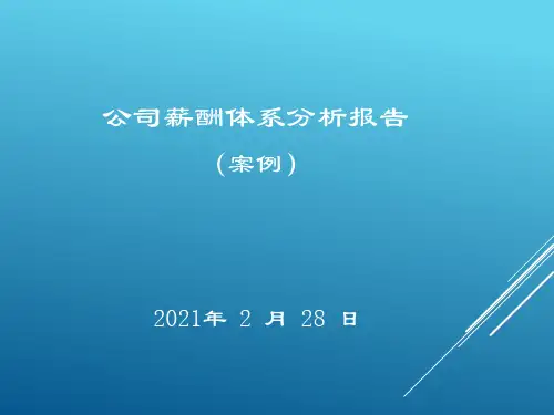 公司薪酬体系分析报告(案例)