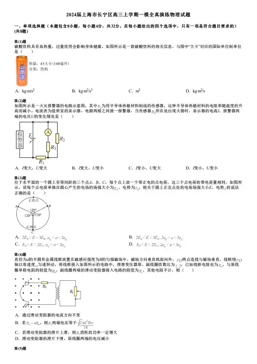 2024届上海市长宁区高三上学期一模全真演练物理试题