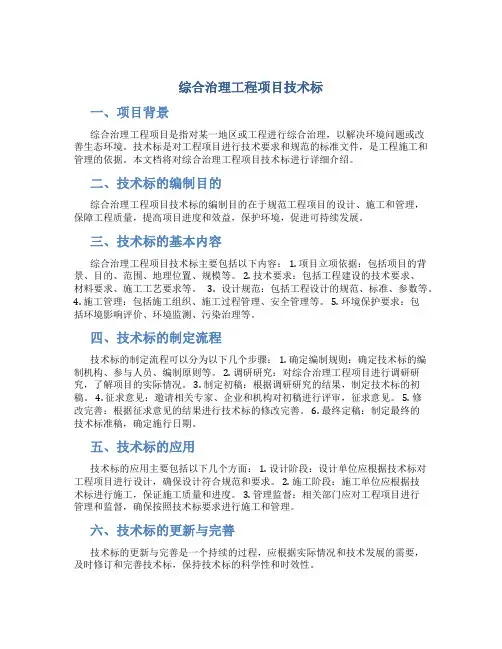 综合治理工程项目技术标