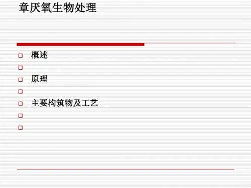 厌氧生物处理相关资料(ppt 30页)