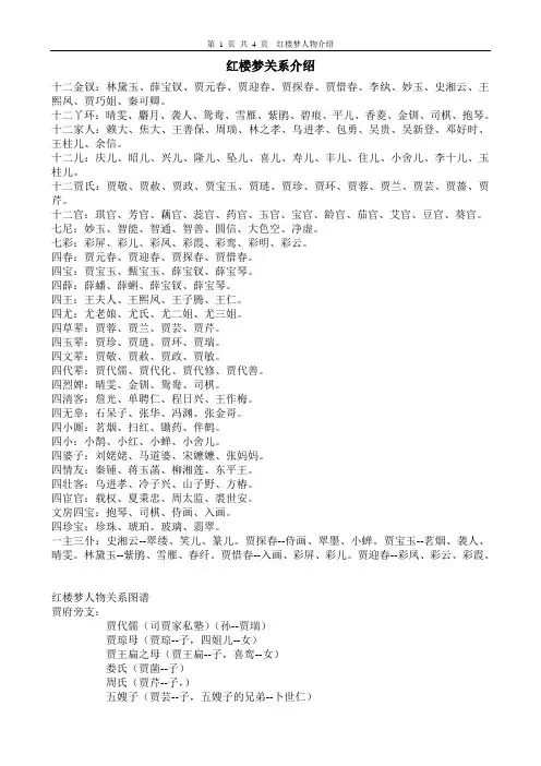 红楼梦关系图谱