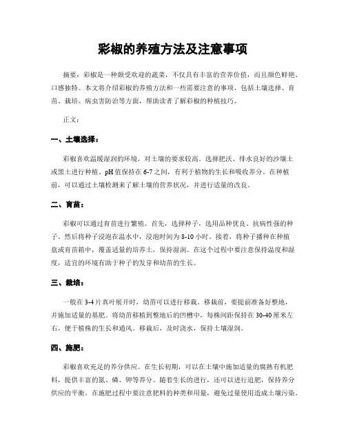 彩椒的养殖方法及注意事项