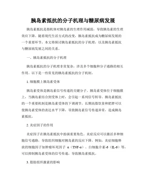 胰岛素抵抗的分子机理与糖尿病发展