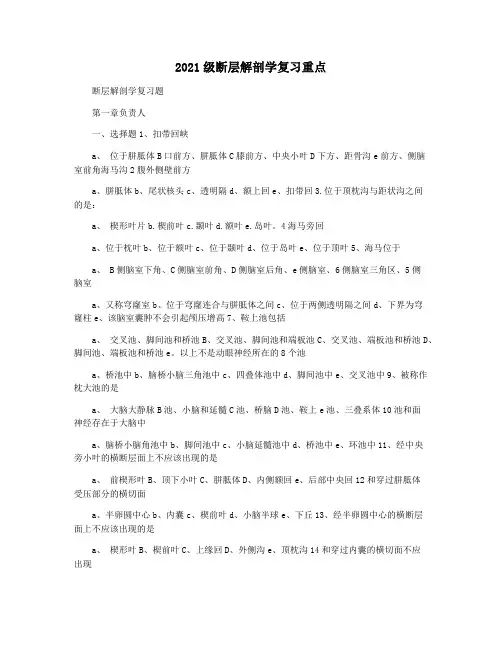 2021级断层解剖学复习重点