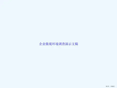 企业微观环境调查演示文稿