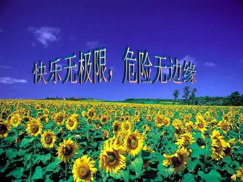 《安全教育主题班会》主题班会PPT课件