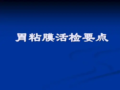 胃粘膜活检要点整理