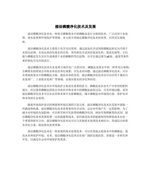 湿法磷酸净化技术及发展