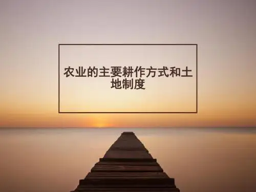 北师大版高中历史必修2课件 农业的主要耕作方式和土地制度课件2