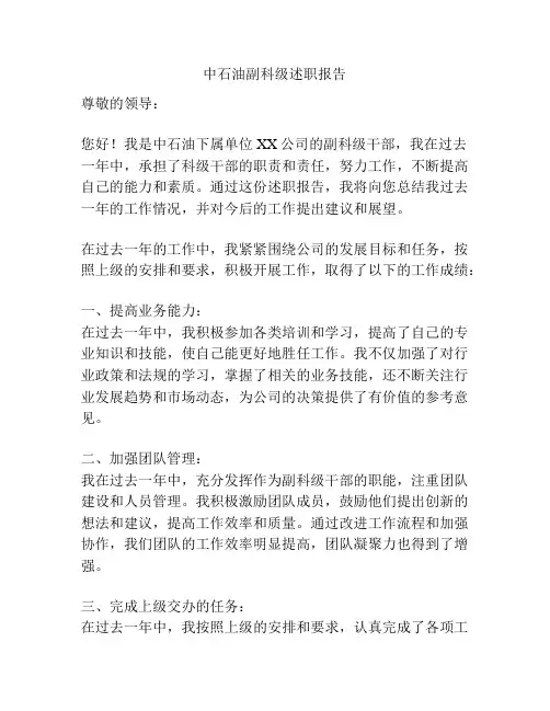 中石油副科级述职报告