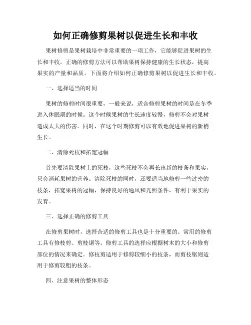 如何正确修剪果树以促进生长和丰收