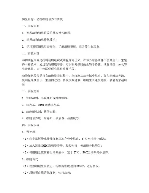 动物科学细胞实验报告