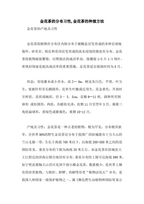 金花茶的分布习性,金花茶的种植方法