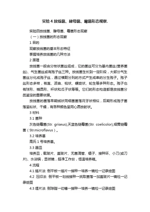 实验4放线菌、酵母菌、霉菌形态观察.
