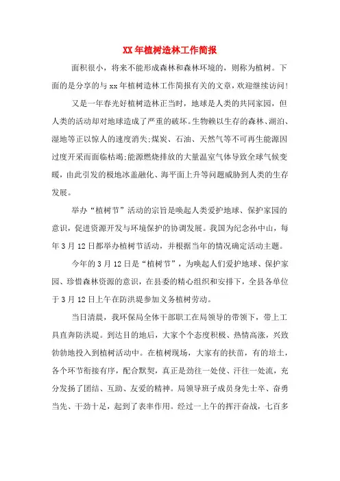 XX年植树造林工作简报