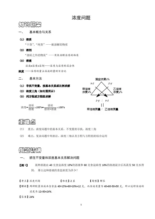 人教版六年级数学专题《浓度问题》(含答案)