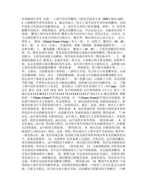 第二讲上颌中切牙的雕刻doc学子梦想成真的