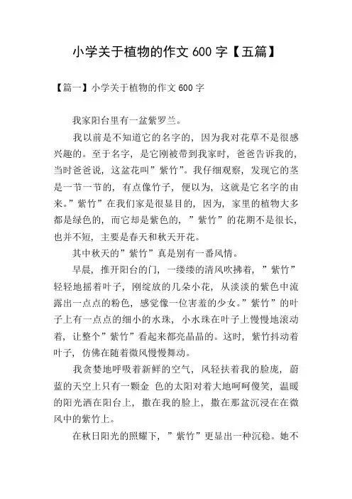 小学关于植物的作文600字【五篇】