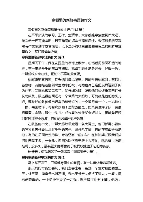 寒假里的新鲜事短篇作文