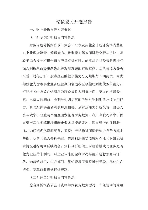 偿债能力开题报告