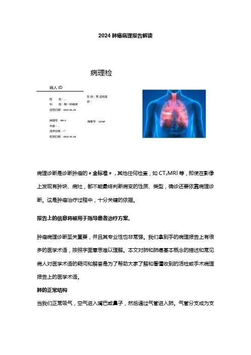 2024肺癌病理报告解读