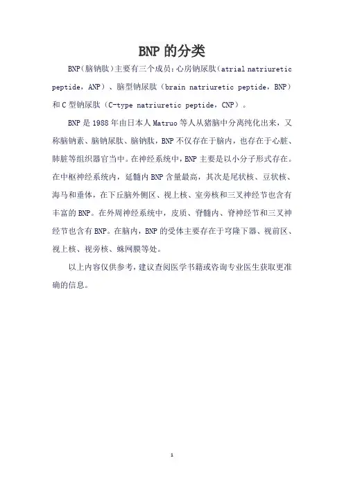 bnp的分类
