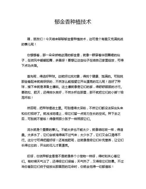 郁金香种植技术