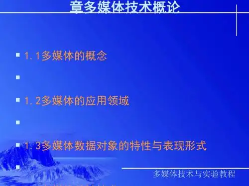 多媒体技术概论(ppt28张)
