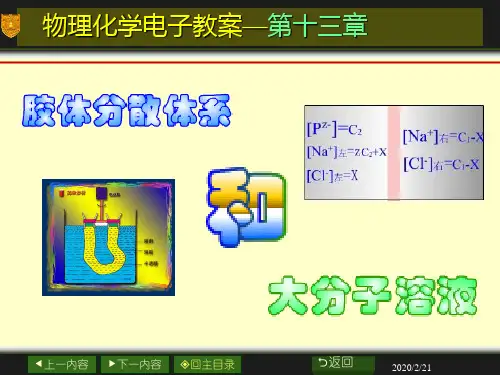 南大物化PPT13章胶体与大分子溶液