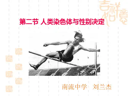 初中八年级(初二)生物课件  人类染色体与性别决定