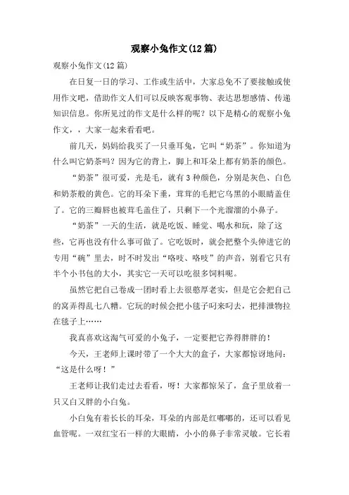 观察小兔作文(12篇)
